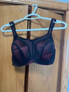 Panache Black and Pink High-Support Mesh Bra